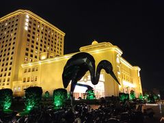 -上海白金汉爵大酒店(大零号湾国际会议中心店)
