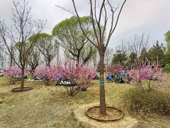 -东郊湿地公园