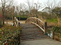 -共青国家森林公园-南大门停车场