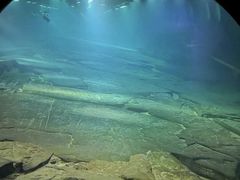 -白鹤梁水下博物馆