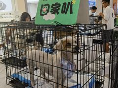 -凯德广场(武胜路店)