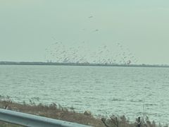 -潍坊滨海云门国际风筝放飞场