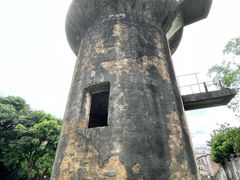 -长洲岛