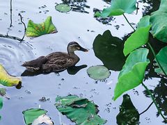 -北山街历史文化街区