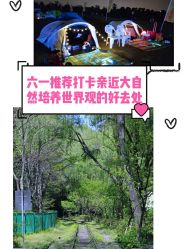 -麦粒鸟亲子游