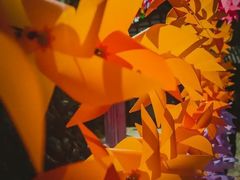 -楠溪江风景名胜区