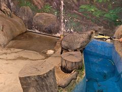 -正佳雨林生态植物园