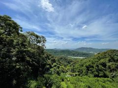 -广州市帽峰山景区