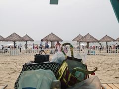 -秦皇岛乐岛海洋王国