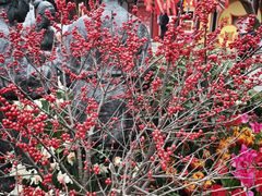 -钱王祠