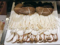 -清真军邺·金富苑肥牛(石坡街旗舰店)