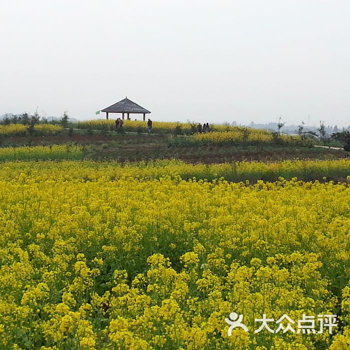 三溪白庙村景点图片-北京其他景点-大众点评网