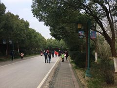 -南京市江宁方山