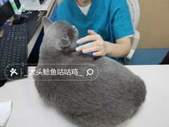 -宠颐生猫科·内科皮肤科(西平世纪城店)