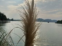 -东湖落雁景区