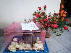 -十面春风·江南面馆(崇宁路店)