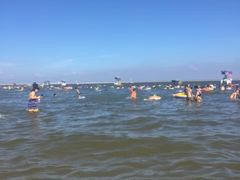 -碧海金沙