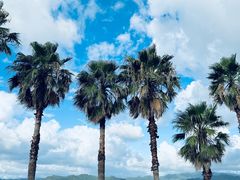 -东钱湖旅游度假区