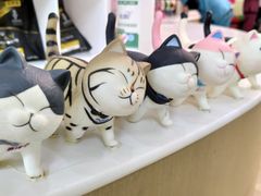 -美联众合动物医院·24h转诊中心
