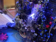 -同喜烤鸭店(光芒店)