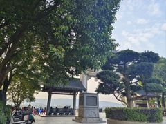 -杜甫江阁