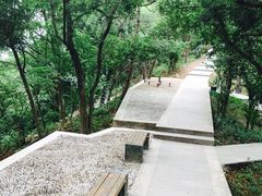 -金鸡山公园