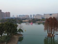 -青枫公园