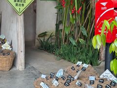 -大象粑粑造纸公园