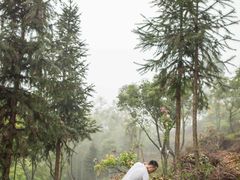 -彩虹桥宠物火化殡葬善终服务(金乐大厦店)