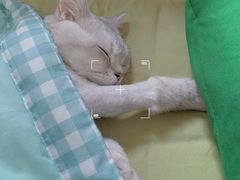 -美联众合动物医院·24h转诊中心