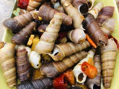 -贞姨美食·老字号海鲜大排档