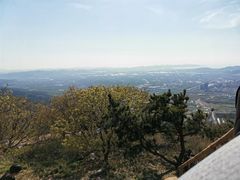-金龙寺国家森林公园