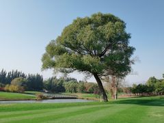 -北京京辉高尔夫俱乐部有限公司