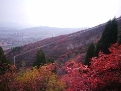 -博山九龙峪风景区