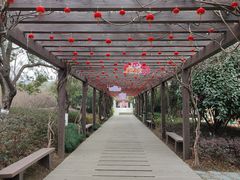 -白马涧龙池景区
