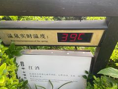 -天目湖涵田半山温泉