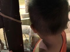 -萌宠奇缘