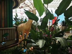 -中8楼风尚云南菜(颐堤港店)