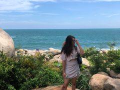 -广东惠东海龟国家级自然保护区