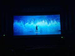 -飞扬影城(正佳IMAX店)