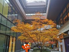 -瑞虹新天地月亮湾