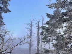 -瓦屋山景区