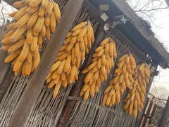 -老村长农家院