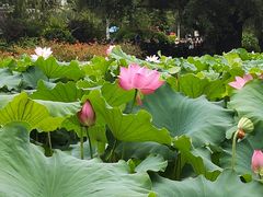 -雀儿山公园