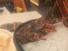 -海月轩海鲜豆捞(紫金塔店)