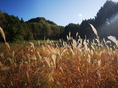 -玉泉威虎山森林公园