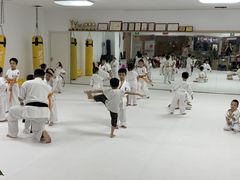 -极真空手道疾风道场(虹口凉城店)