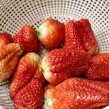 新年的氛围满桌来，幸福满满的草莓宴[惊叹]