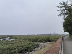 -北海金海湾红树林生态旅游区