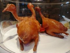 -国惠大酒楼(宝龙店)